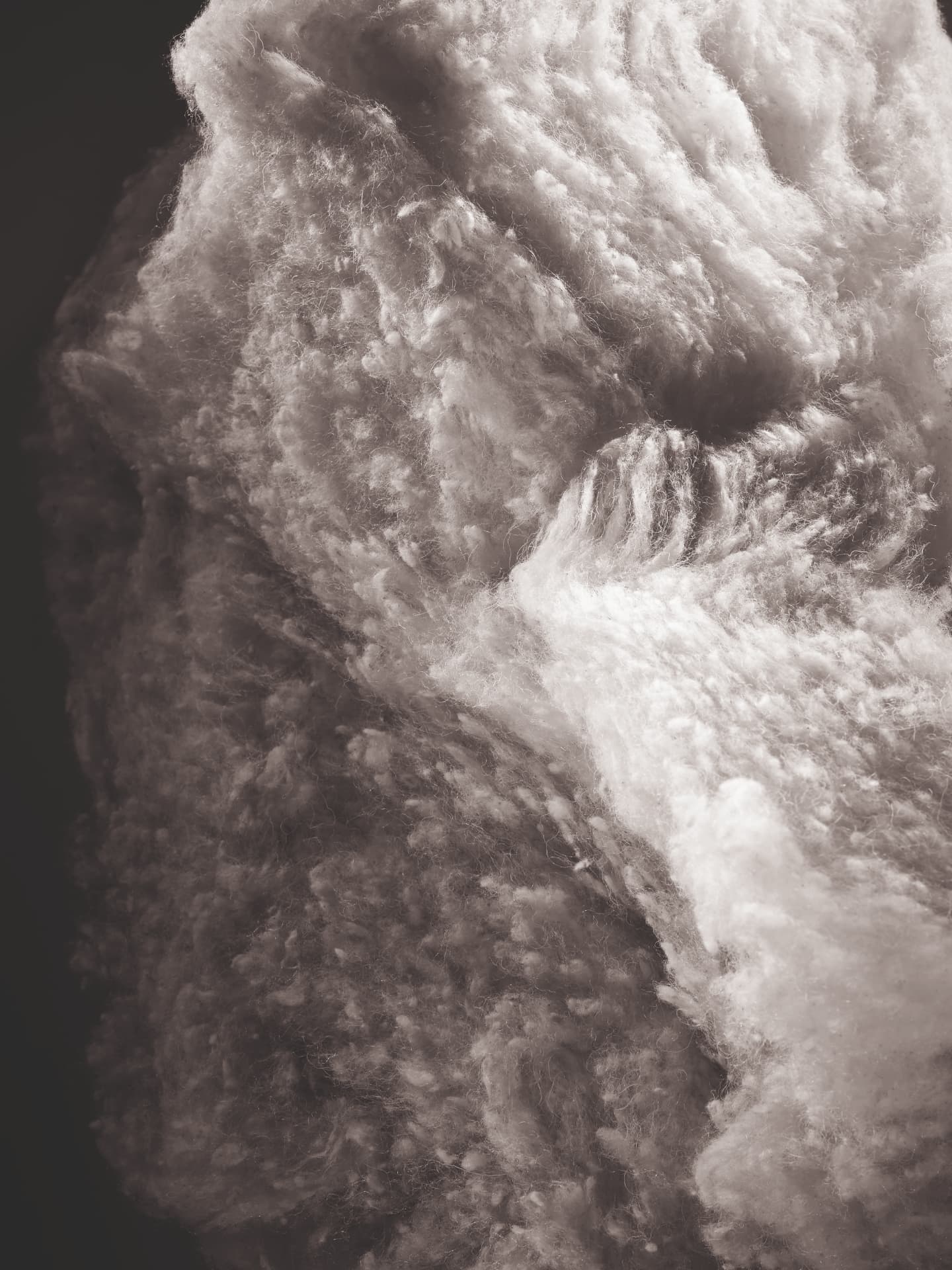 Close detail of lofty, springy British wool fibres
