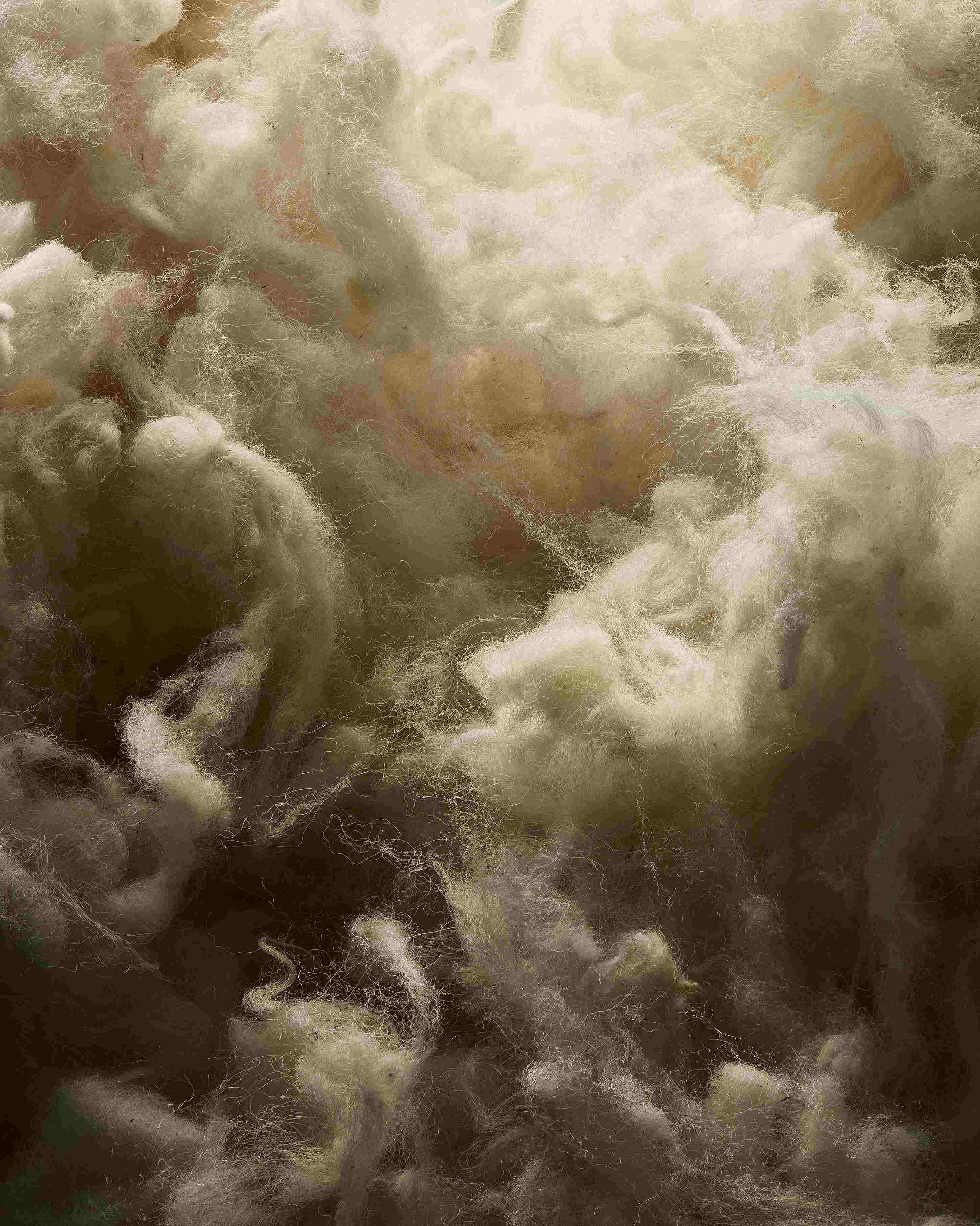 Real Shetland wool fibres used in the Majesty mattress